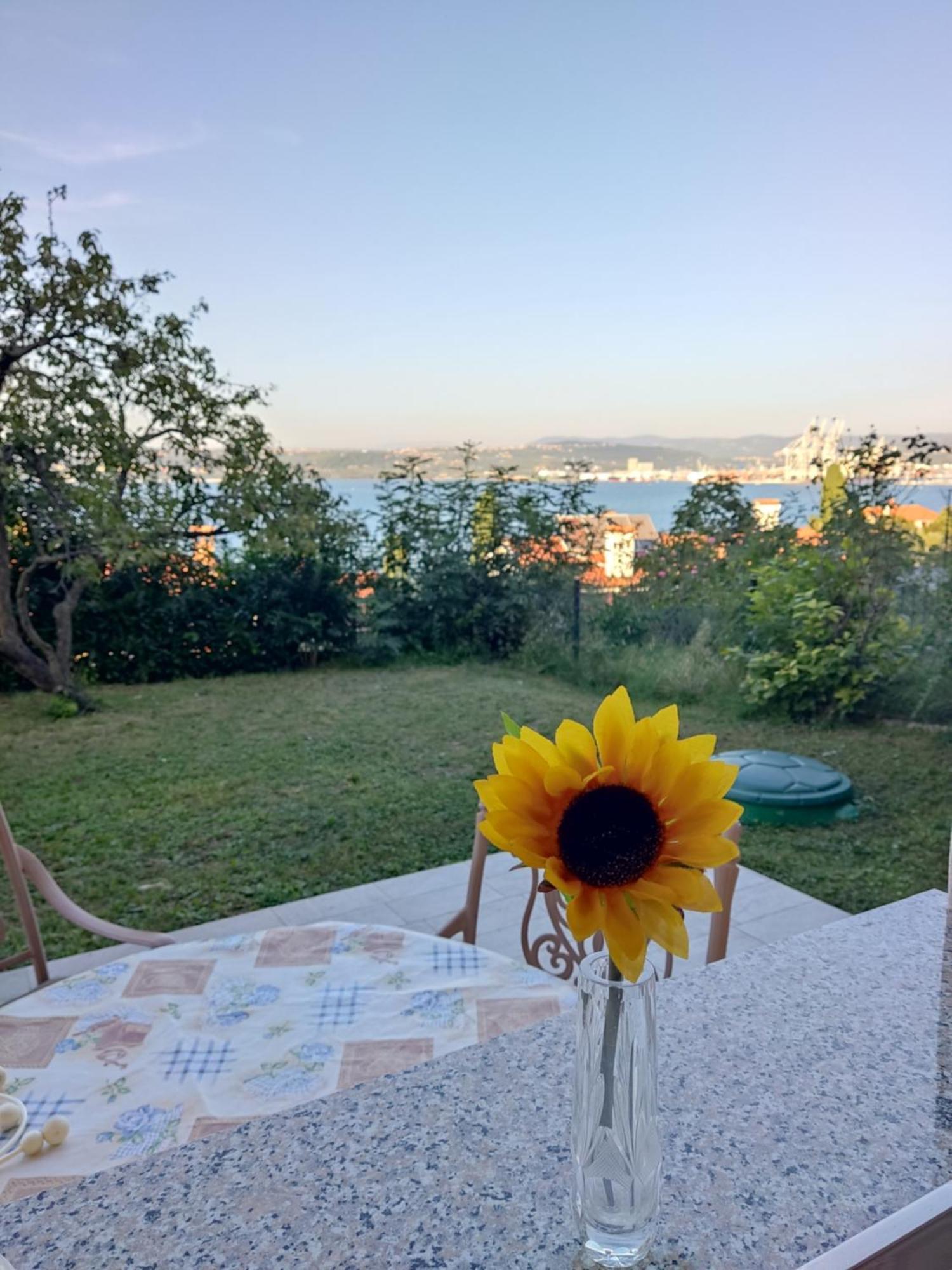 Apartment Rea Κόπερ Εξωτερικό φωτογραφία